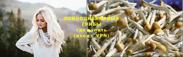 гашик Вязники