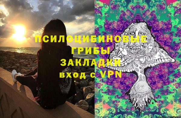 бошки Горнозаводск