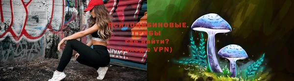 хмурый Горно-Алтайск