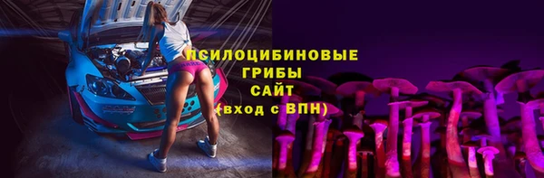 хмурый Горно-Алтайск