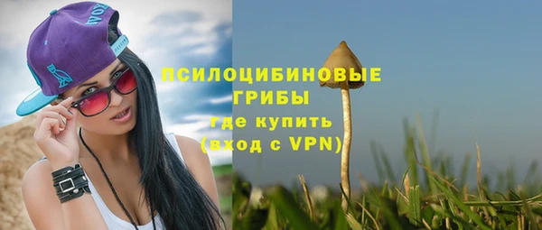 таблы Горняк