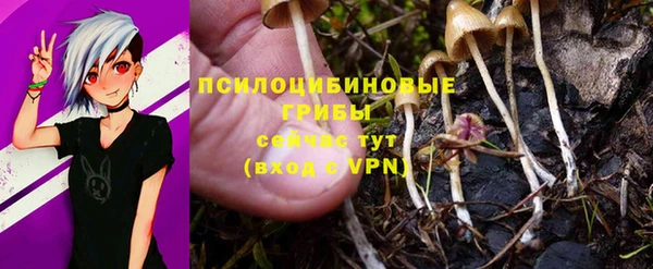 таблы Горняк